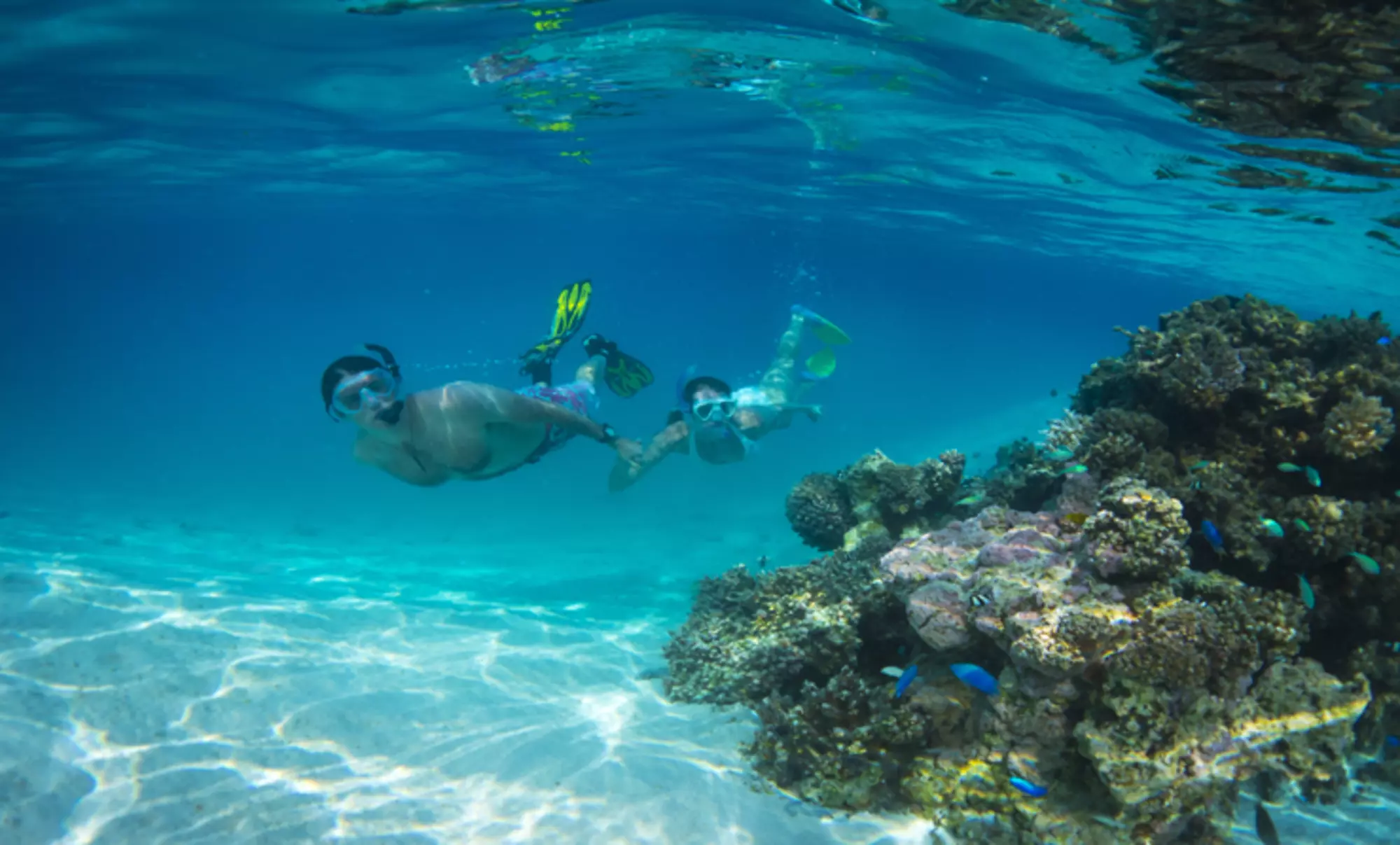 Home - Things to Do - Snorkelling