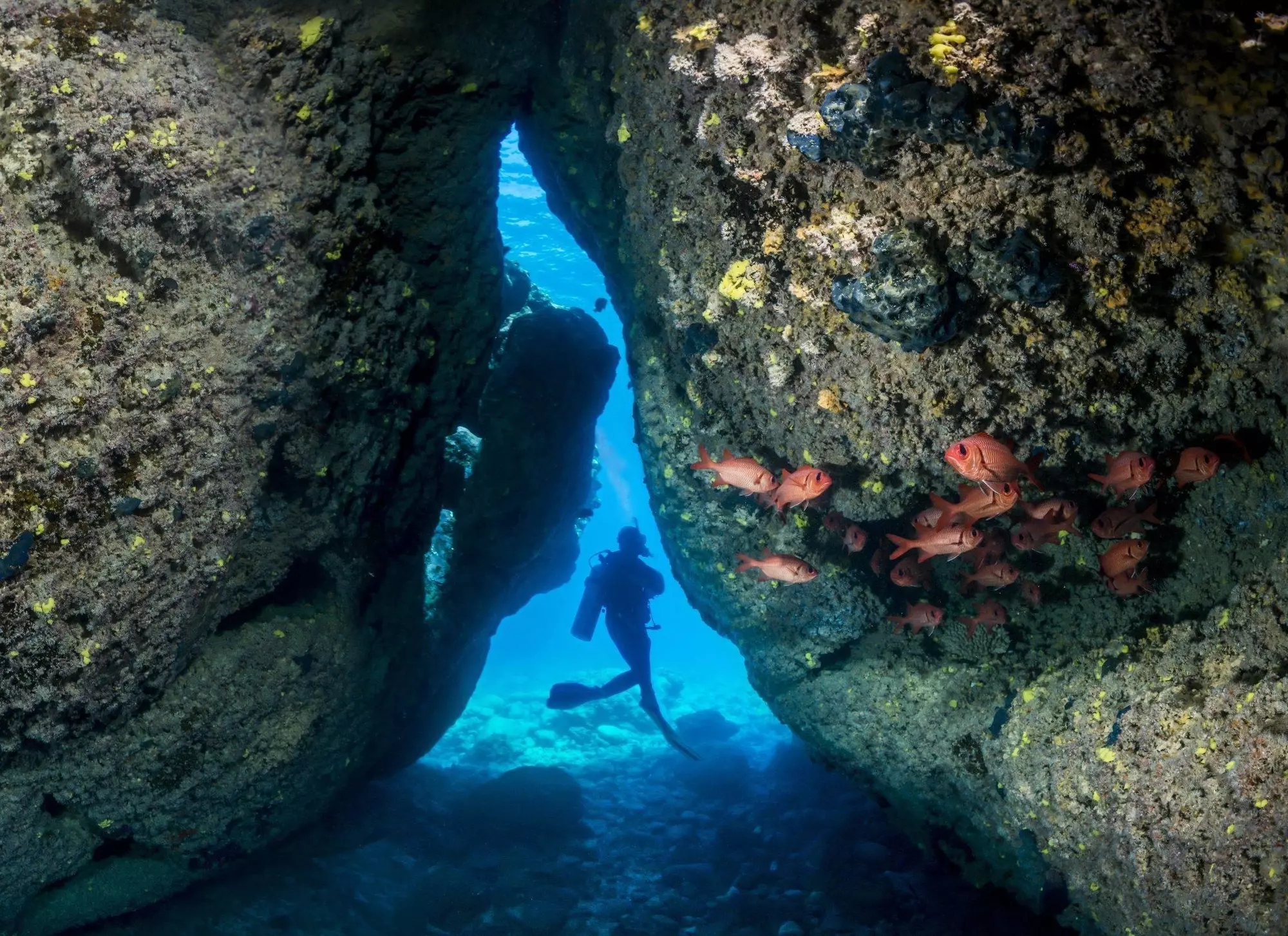 Dive Rarotonga Ltd- Swim Through.JPG