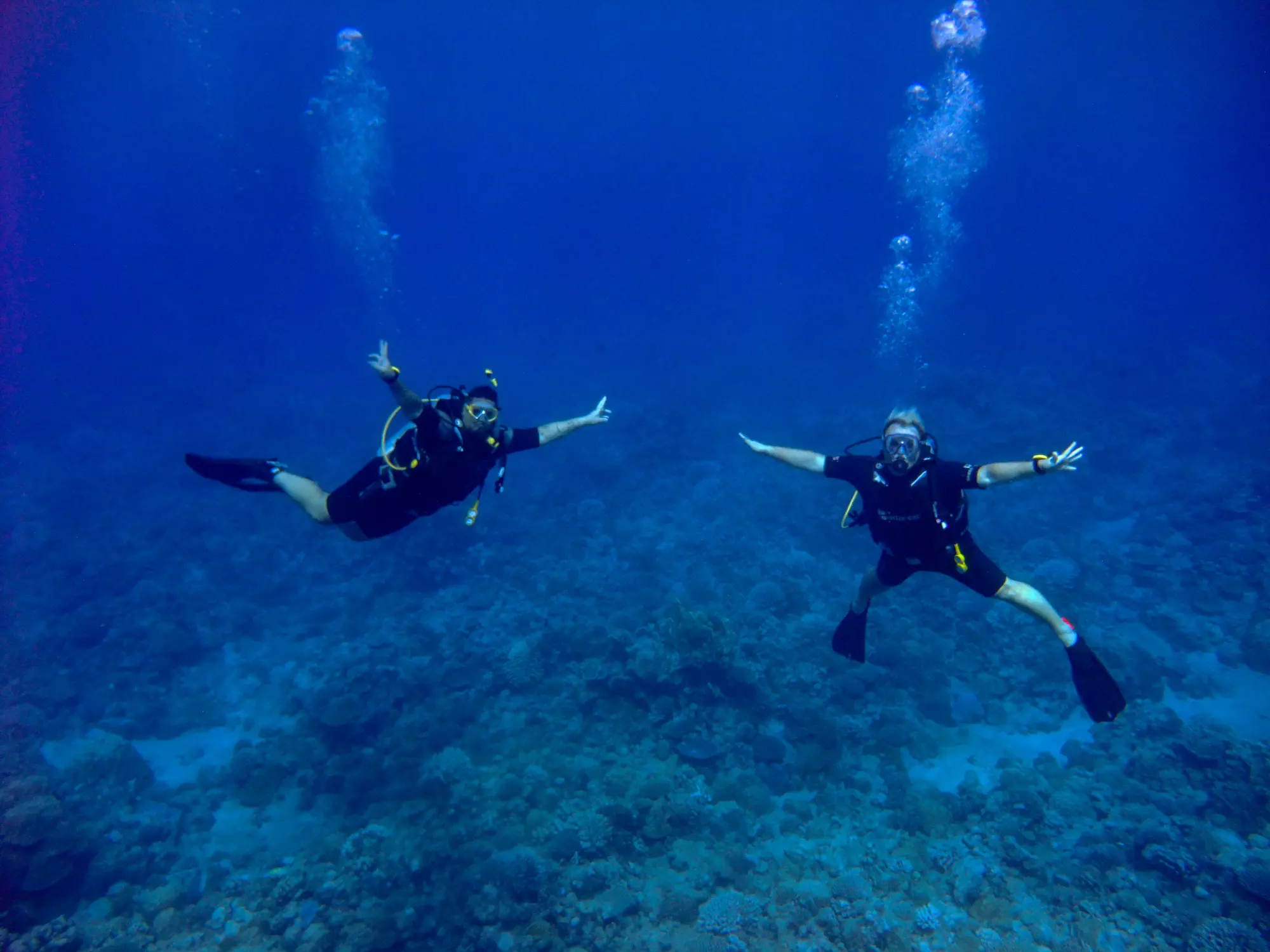 Dive Rarotonga Ltd